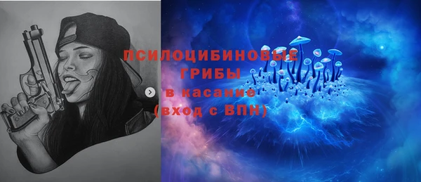 прущий лед Дмитров