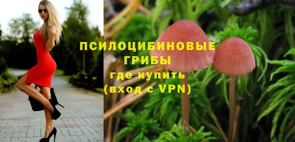 прущий лед Дмитров